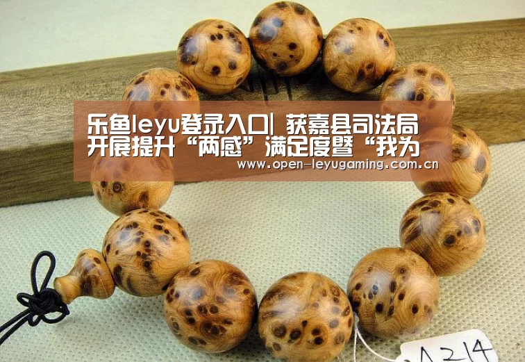 乐鱼leyu登录入口