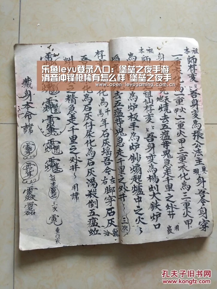 乐鱼真人